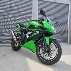 Kawasaki Ninja250SL ライムグリーン 絶好調　...