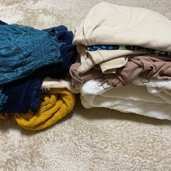 レディース服　サイズMーL  冬用　ちょっと夏用　＊決まりました！