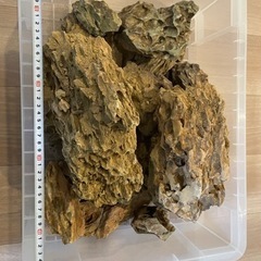 【完了】気孔石（黄虎石）無料で全て差し上げます。　4/16まで