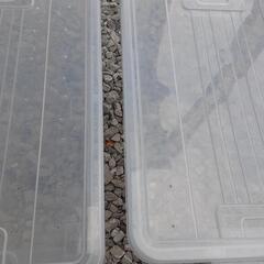 小型ケース　　カブトムシ飼育に使用の画像