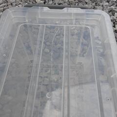 小型コンテナケース　クワガタ飼育の画像