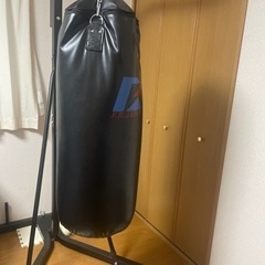 サウンドバック中古品の画像