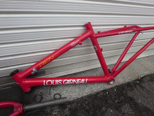 ２４インチ　ジュニア用　ルイガノ　フレーム・フロントフォークのみ