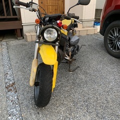 スズキ | SUZUKI　ストリートマジック50Ⅱ | STREETMAGIC50Ⅱの画像