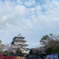 90%offで美脚トリートメント(しっかり40分)残り枠が半分をきってきております！ − 千葉県
