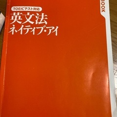 【英語】TOEIC英文法　ネイティブ・アイの画像