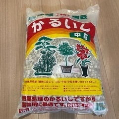 【完了】軽石（かるいし）を無料でお譲りします。