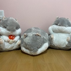 値下げ❗️ころはむ　ジャンくん　3個セット