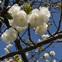 休日の居場所