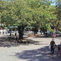 花と酒とつまみの祭典　in三島楽寿園　出店者募集 - 三島市