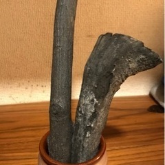 陣馬山の麓で作った木炭　消臭剤　近所は無料配達