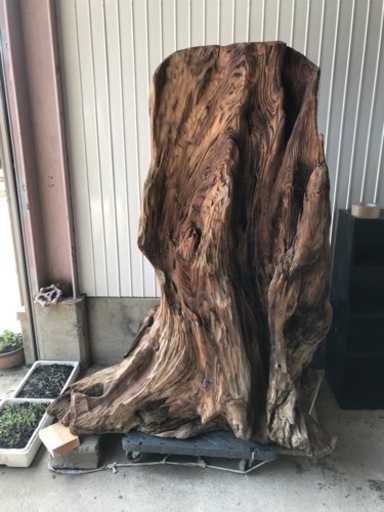 大木　流木　DIY