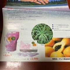 入浴剤　TheBathSalt 100g×18包の画像
