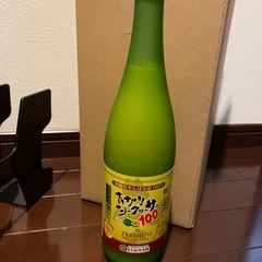 値下げ致しました🙇琉めだか⭐️サバンナ様血統‼️スノームーン