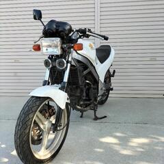 VTZ250旧車実働登録書類有‼️の画像