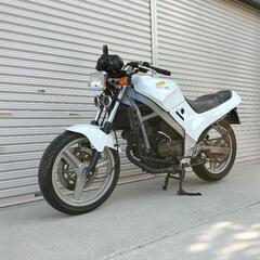 VTZ250旧車実働登録書類有‼️の画像