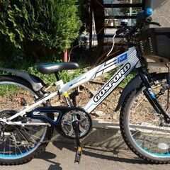 子供用自転車 キッズサイクル 22インチ ゴスフォード シマノ6...