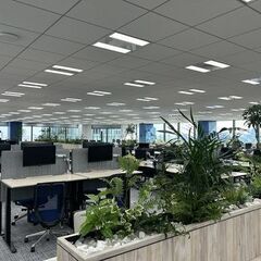 （正212）ドスパラ店舗開発スタッフの画像