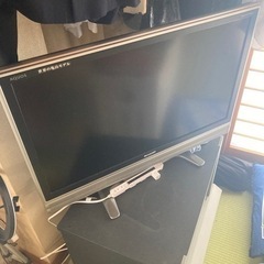 テレビ　