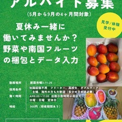 青果店でアルバイト募集中です！フルーツに囲まれて仕事しませんか？