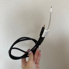 テレビに繋げるやつ