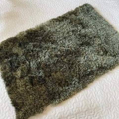 【美品】玄関マット 玄関ラグ グリーン
