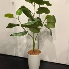 人工観葉植物 プレミアム光触媒フェイクグリーン フィカスウンベラ...