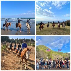 国立公園霧島山で馬と一緒に仕事！！　観光乗馬牧場（ホースガイド）の画像