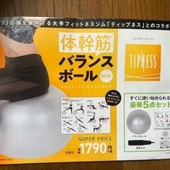 【4/19まで】バランスボールの画像