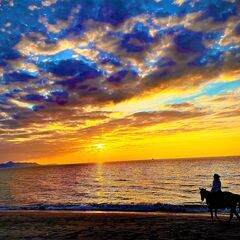 国立公園霧島山で馬と一緒に仕事！！　観光乗馬牧場（ホースガイド）の画像