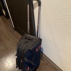 4月9日処分します。ミッフィ　キャリーの画像