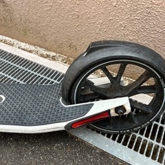 キックスケーター　の画像