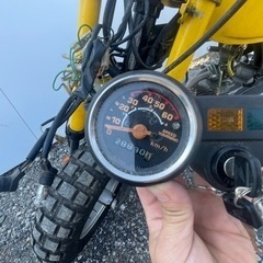 ゴリラ50   Z50Jの画像