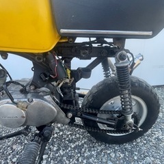 ゴリラ50   Z50Jの画像