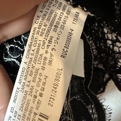 ザラ　レースの画像