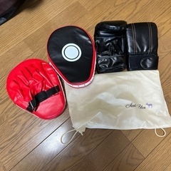 ボクシング　ミット　グローブ