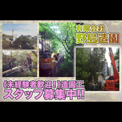 【未経験者歓迎!】有限会社野島造園 造園工スタッフ募集中!の画像