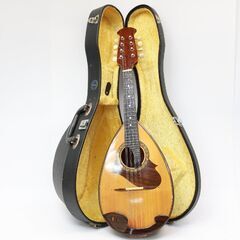 097)SUZUKI VIOLIN マンドリン M-215 19...