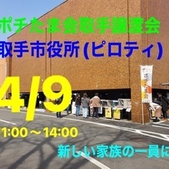 4/9ポチたま会取手譲渡会