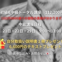 【オンライン講座】動物占い✨ISD個性心理学📚✍🏻の画像