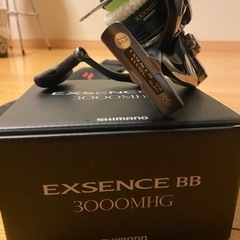 シーバス用　セット