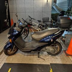 アヴェニス150の画像