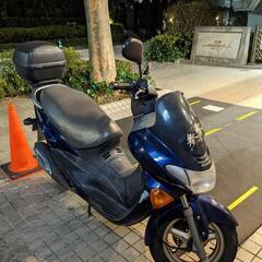 アヴェニス150の画像