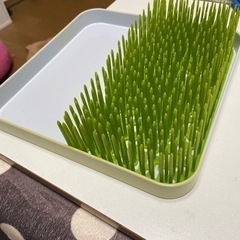 芝生型乾燥ラック