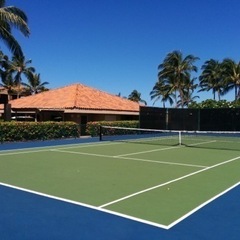 【柏/流山/松戸/野田】土日のどちらかテニス🎾出来る方募集