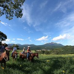 高千穂牧場内での乗馬コーナーでアルバイトの画像