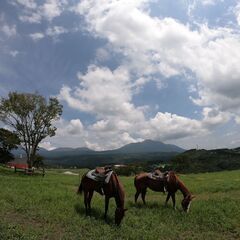 高千穂牧場内での乗馬コーナーでアルバイトの画像