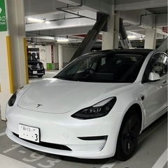 レンタカー　フロントスタッフ