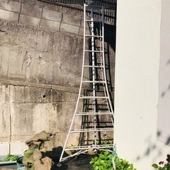【レンタル】園芸用アルミ三脚　脚立　10尺/3mの画像