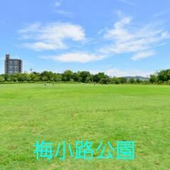 梅小路公園で、遊びませんか🤗